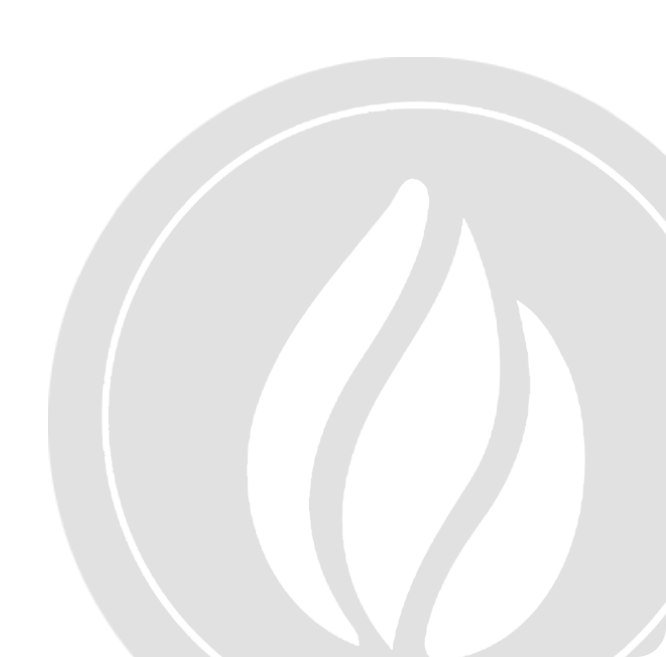 Grey FlamLeve Icon